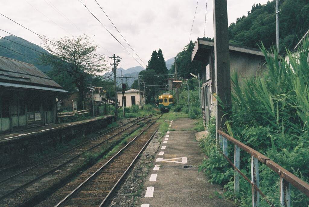 次に乗る電車はカボチャ君