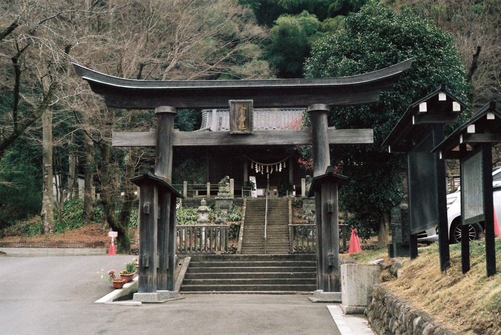 氷川神社