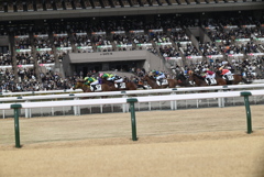 府中競馬場にて