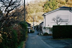 登山道