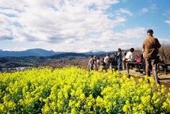 吾妻山公園にて