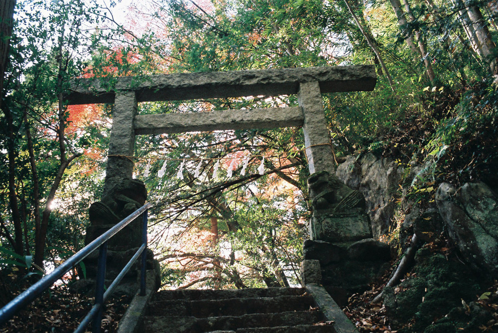 白髭神社