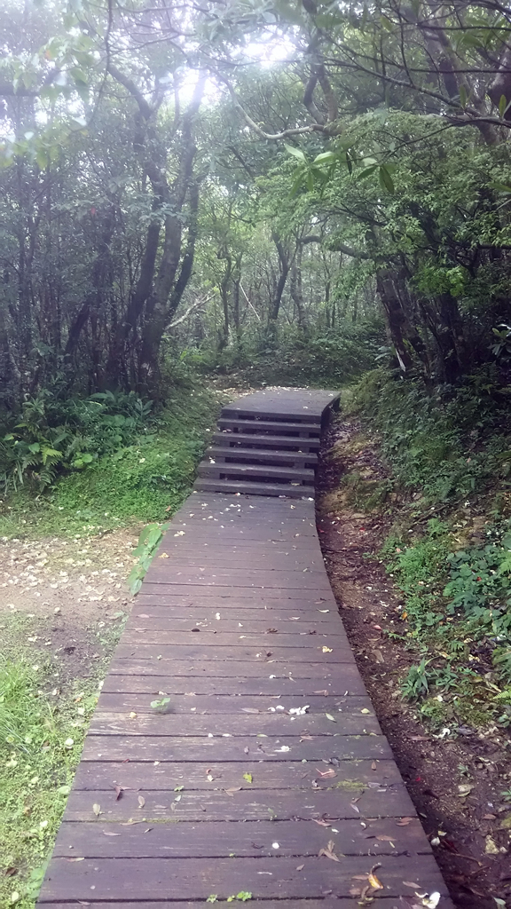 湯湾岳登山道