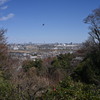百草園にて①