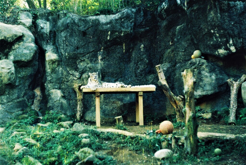 多摩動物園にて③