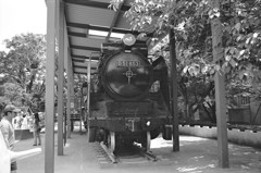 D51蒸気機関車