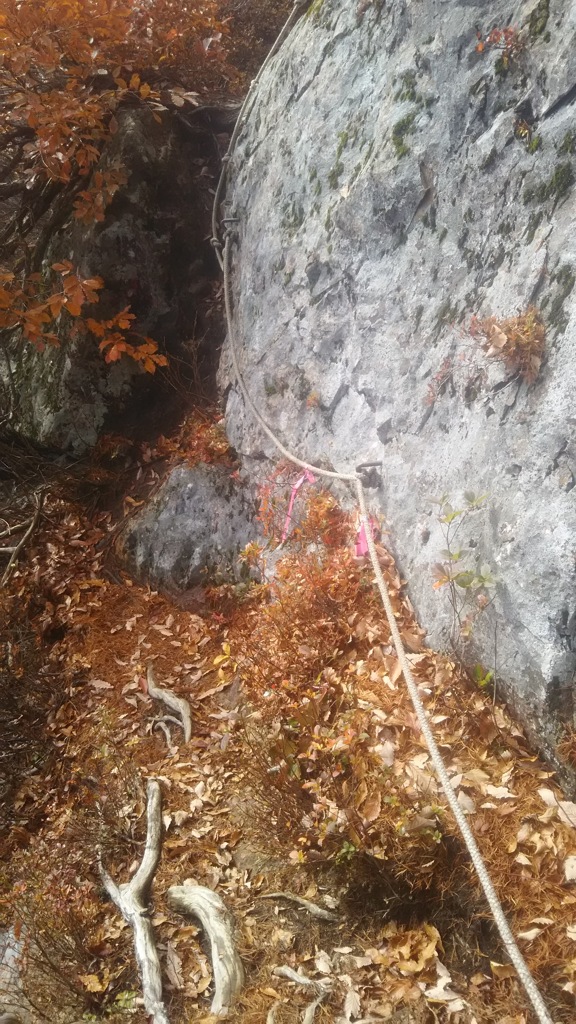 蒲生岳登山道