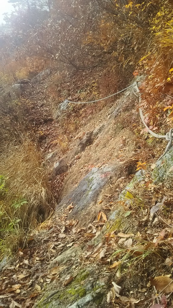 蒲生岳登山道