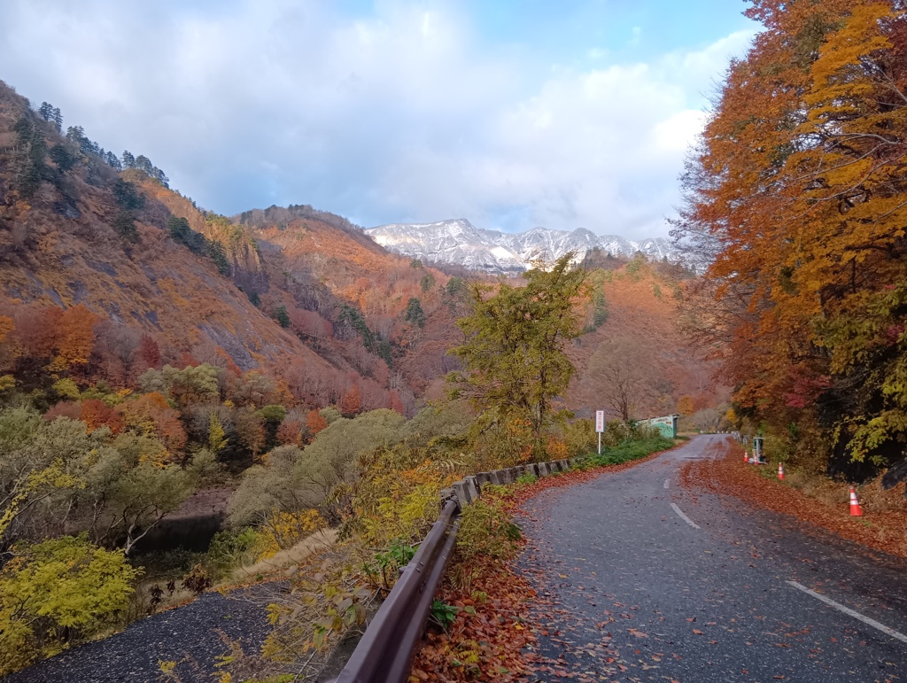 田子倉の紅葉③