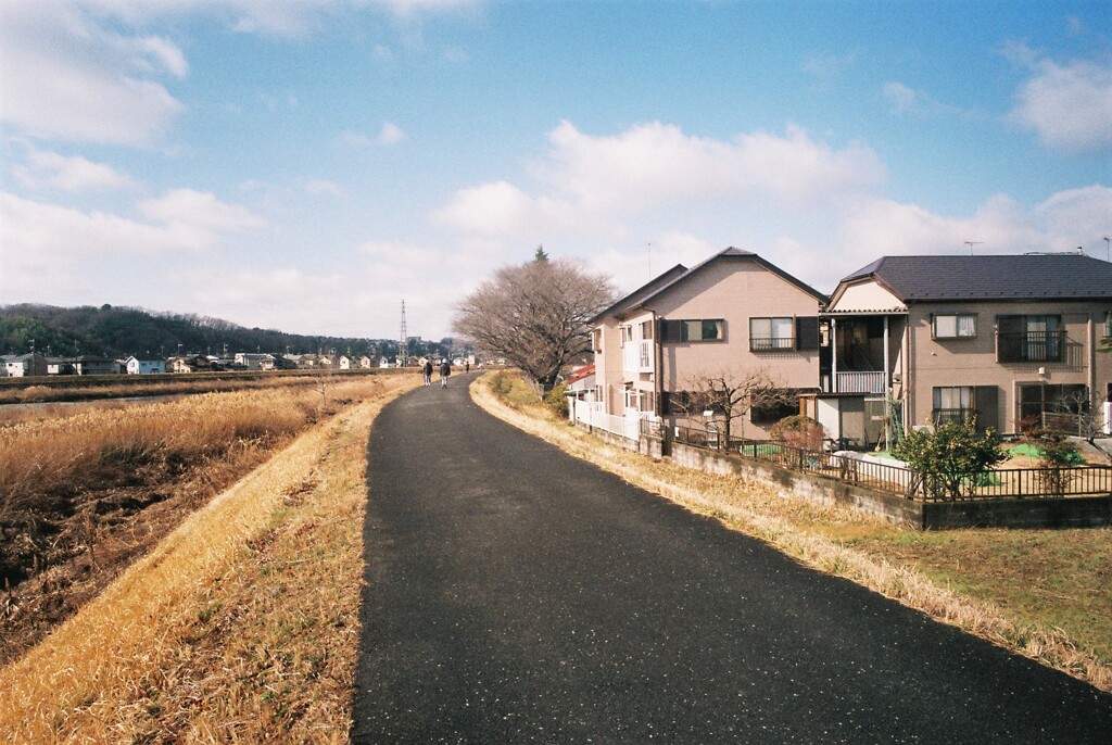 散歩道