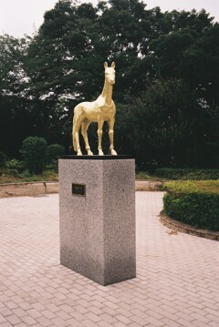 黄金の馬