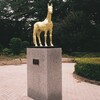 黄金の馬