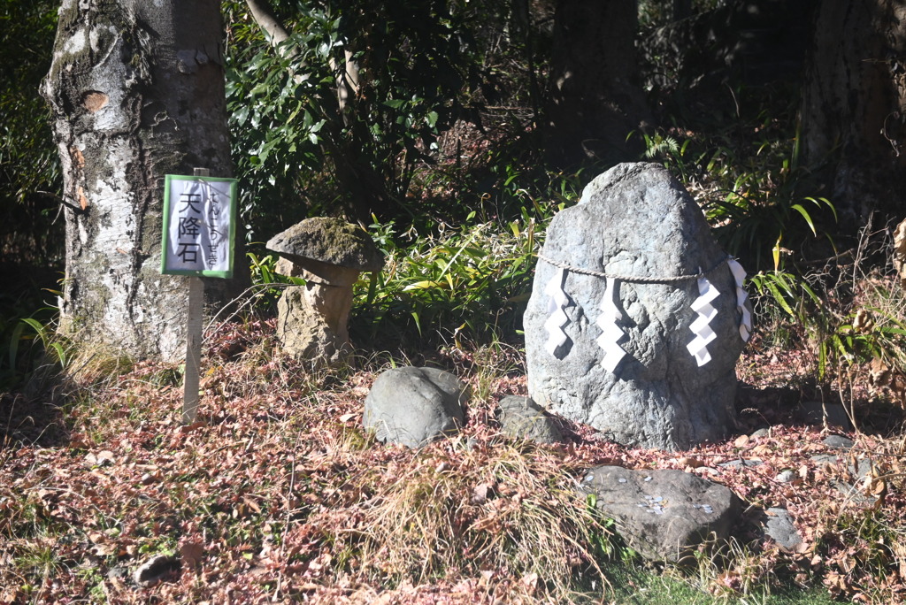 氷川神社④