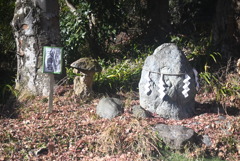 氷川神社④