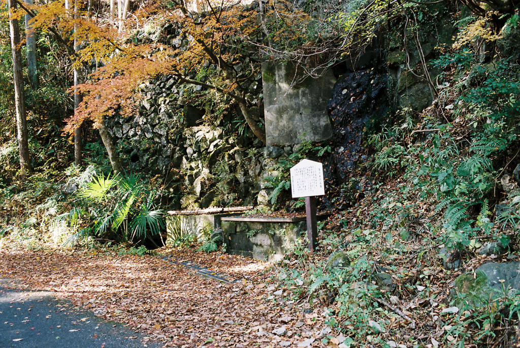 馬の水のみ場