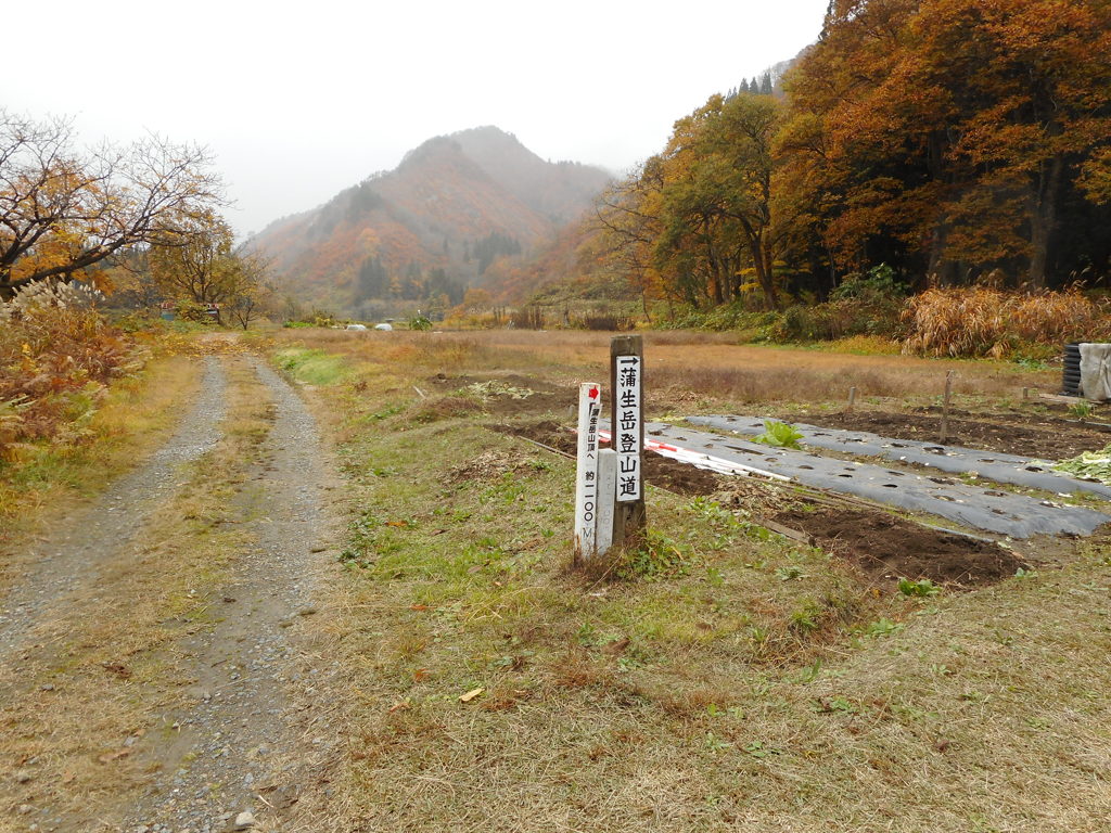 蒲生岳登山口