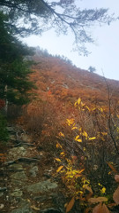 蒲生岳登山道