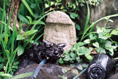 狛犬の置物