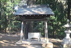 本村八幡神社⑦