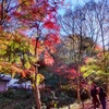 多摩動物園にて