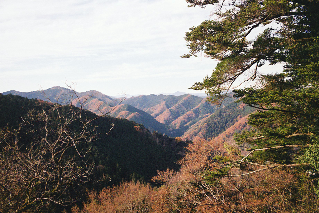 高尾の山々