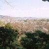嵯峨野の眺望