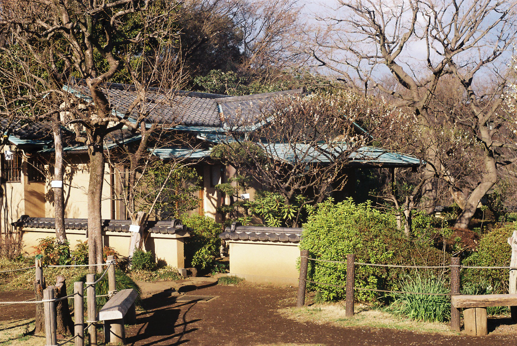 日本庭園にて