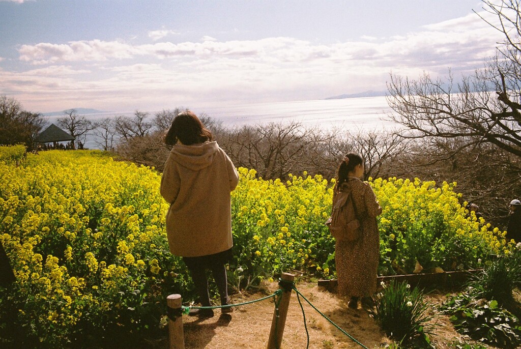 吾妻山公園にて