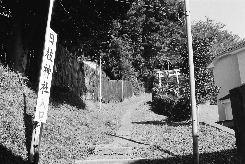 日枝神社にて