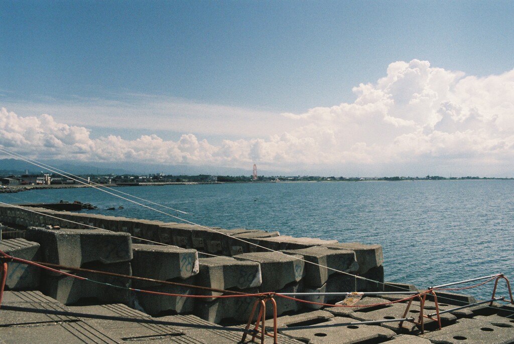 海