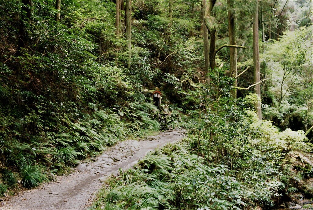 登山道