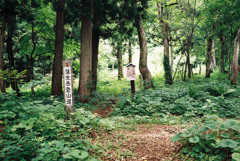 蒲生岳登山道