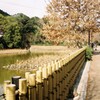天龍寺へ