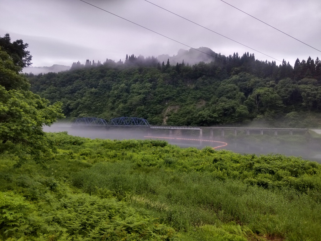 じっと待つ⑭