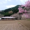 小菅村にて