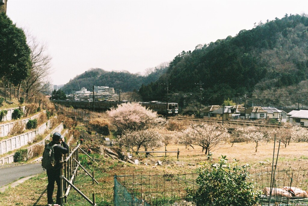 普通列車