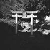 M１でお散歩①