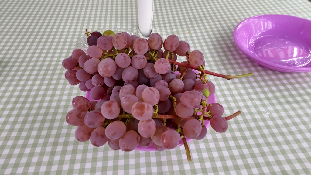 甲州ぶどう