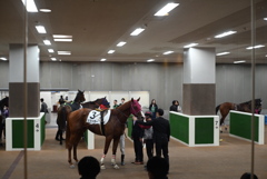 ホースプレビューにて