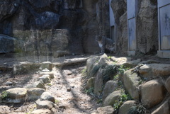 50mmレンズ1本で動物園めぐり