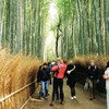 竹林の小径