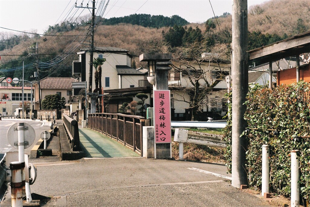 高尾梅郷遊歩道①