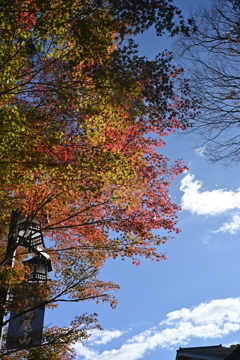 高尾山③