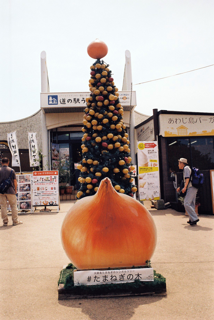 道の駅「うずしお」にて
