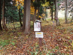 蒲生岳登山口