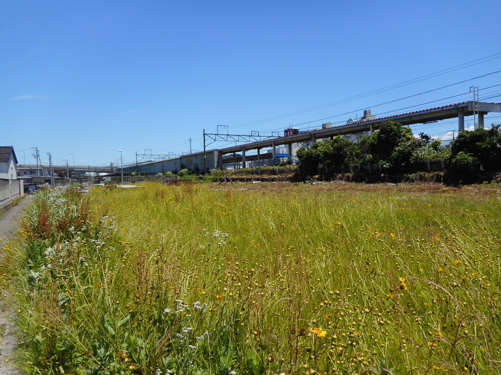 蒲原鉄道の駅跡①
