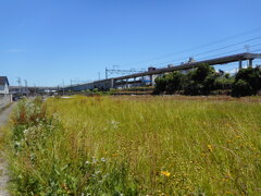 蒲原鉄道の駅跡①