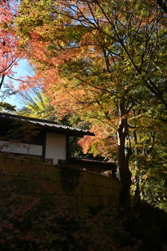 高尾山④