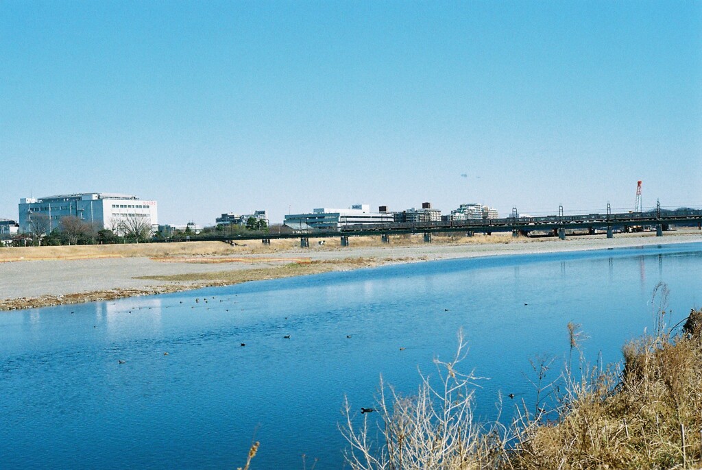 多摩川