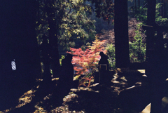 熊野神社にて